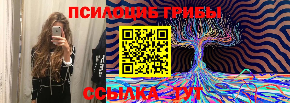 Псилоцибиновые грибы мицелий  Вход с VPN  Канаш 