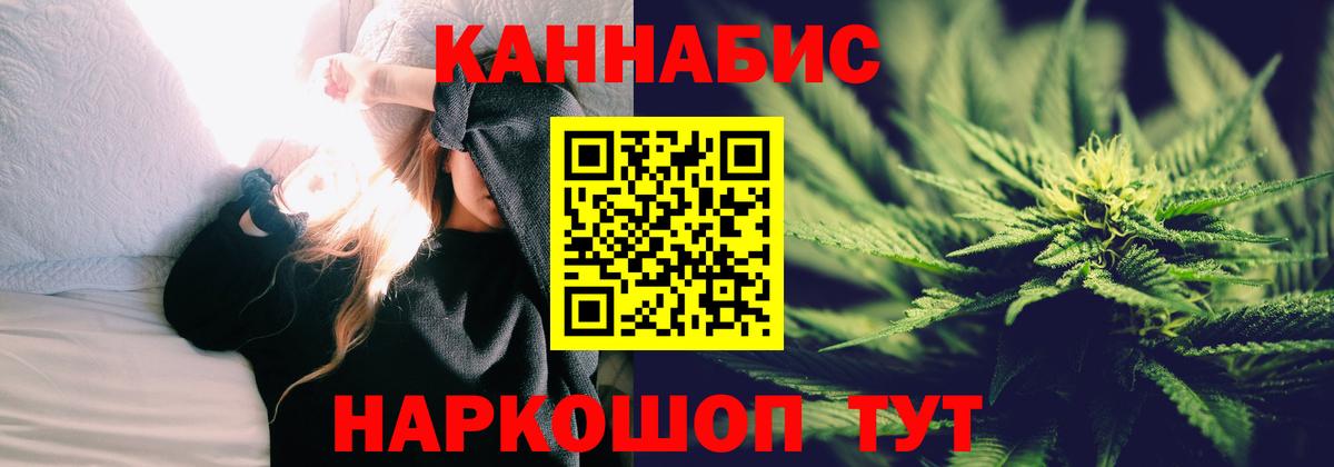 Бошки Шишки план Канаш